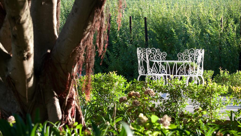 Brenaissance Wine & Stud Estate Otel Stellenbosch Dış mekan fotoğraf