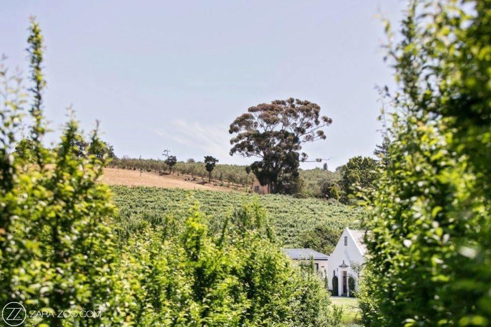 Brenaissance Wine & Stud Estate Otel Stellenbosch Dış mekan fotoğraf