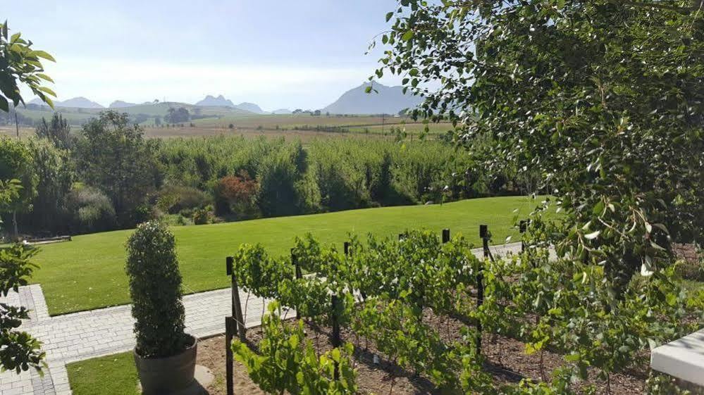 Brenaissance Wine & Stud Estate Otel Stellenbosch Dış mekan fotoğraf